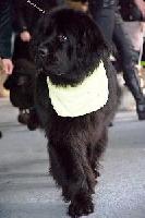 Pavlina Vialiki Miadzvedz Pavlina Vialiki Miadzvedz